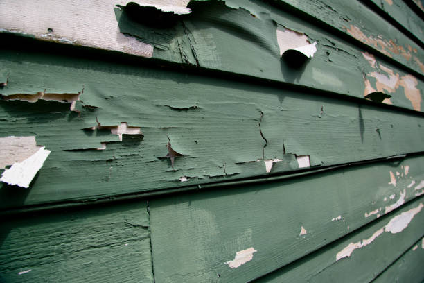 Lily Lake, IL Junk Removal Company